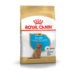 ROYAL CANIN POODLE PUPPY